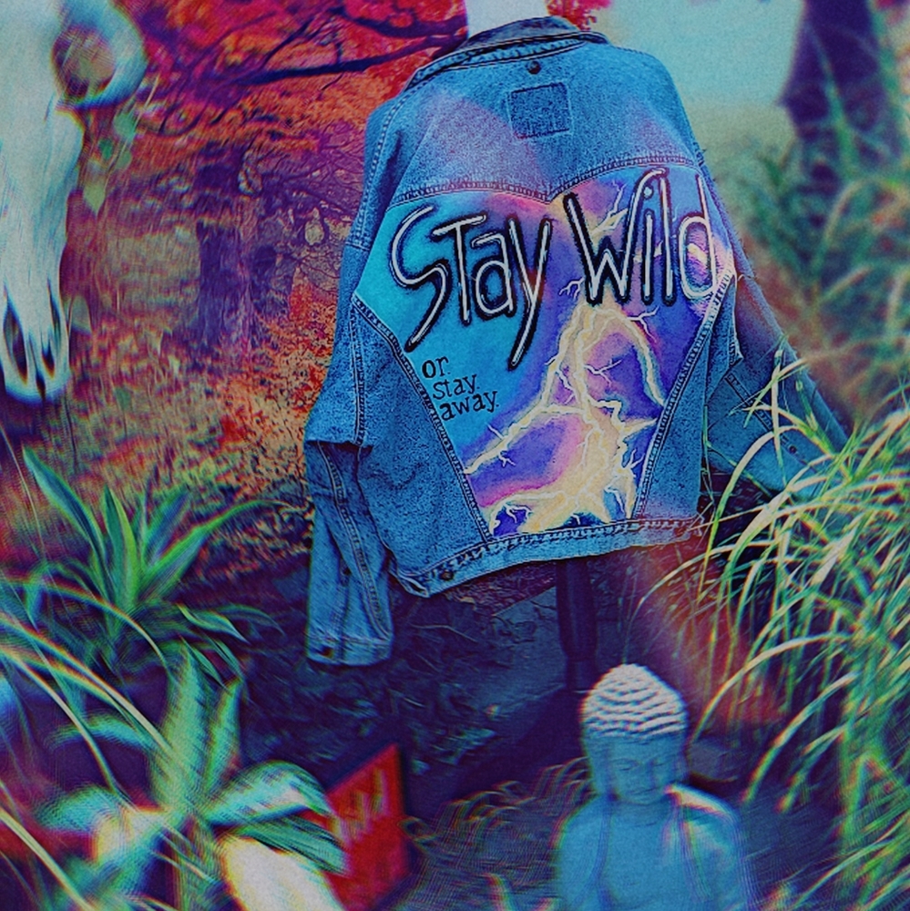 Custom, hand painted denim jacket